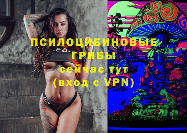 первитин Балахна