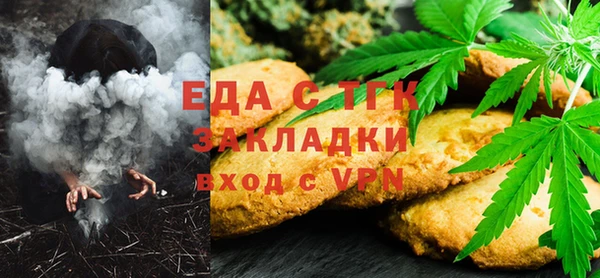 тгк Ельня