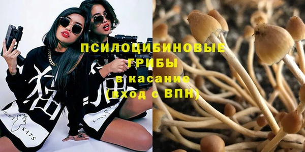 не бодяженный Баксан