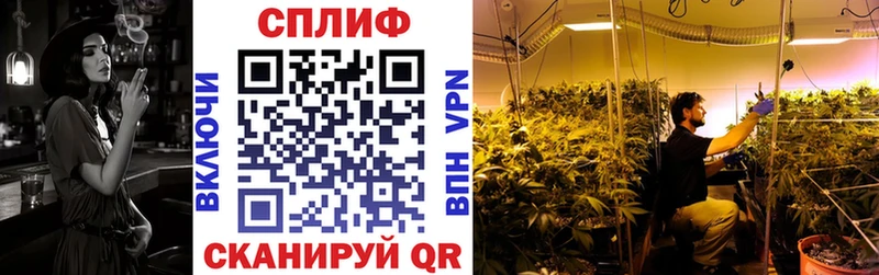 наркота  Оленегорск  Марихуана марихуана 